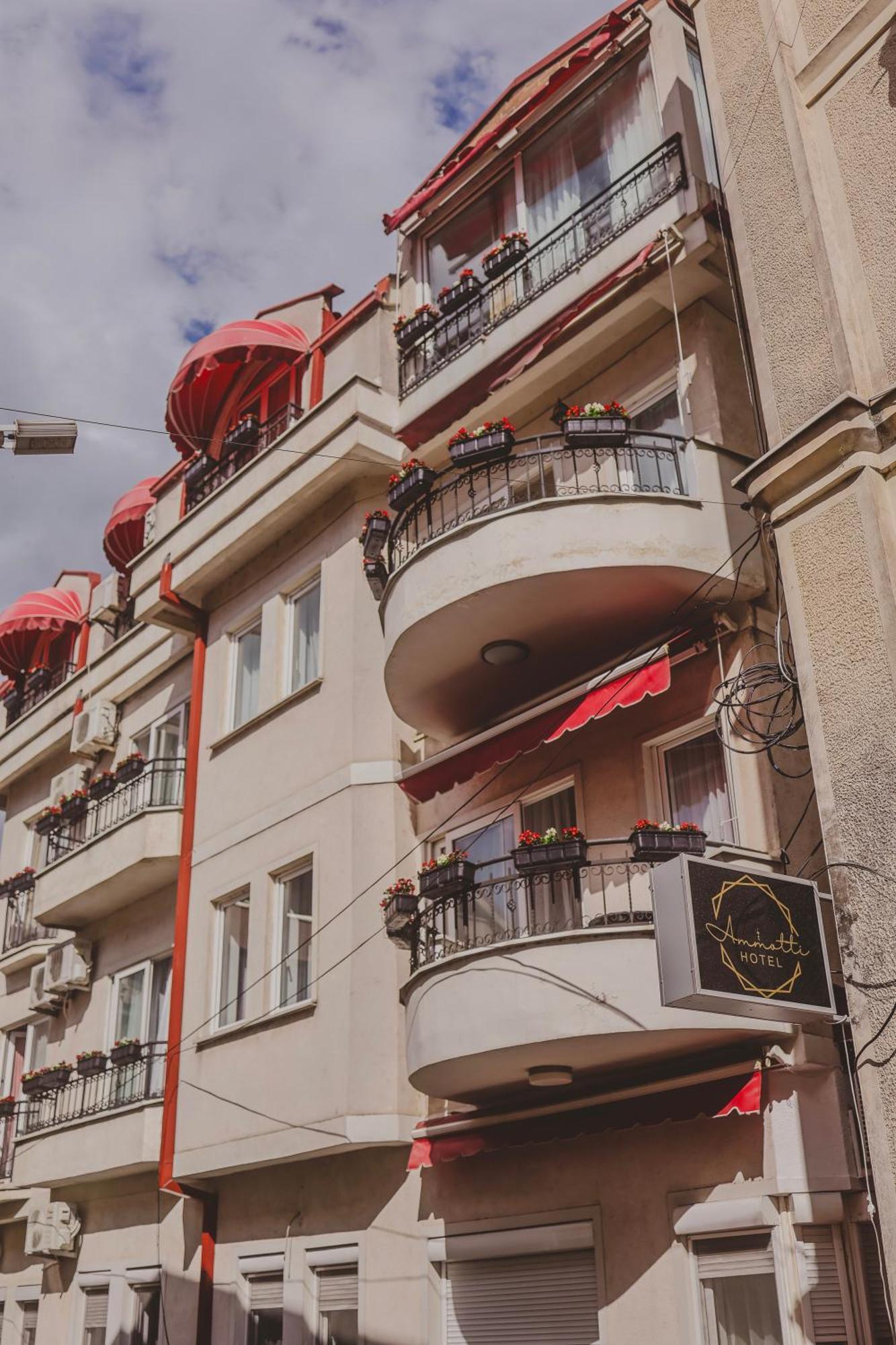 Ammotti Hotel オフリド エクステリア 写真